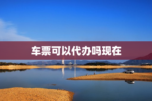车票可以代办吗现在(车票可以别人网上代买吗)