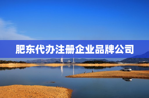 肥东代办注册企业品牌公司(合肥注册公司代办哪家好)