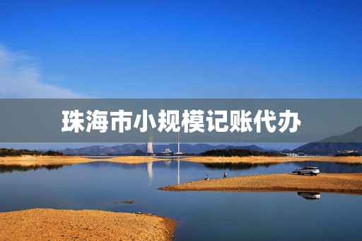 珠海市小规模记账代办(珠海代办工商营业执照)