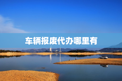 车辆报废代办哪里有(车辆异地报废有补贴吗)