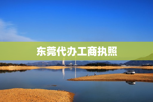 东莞代办工商执照(东莞代办)