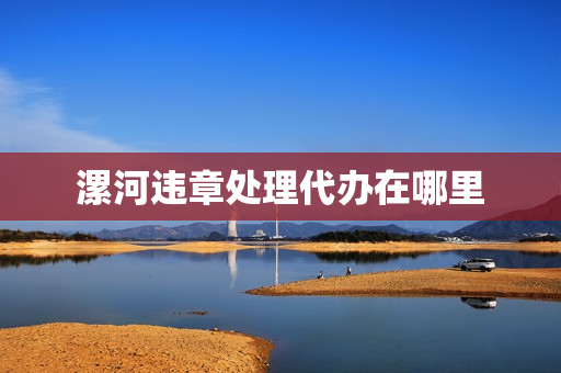 漯河违章处理代办在哪里(漯河处理违章的地方在哪)