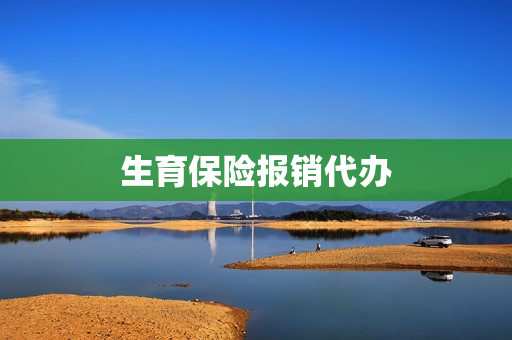 生育保险报销代办(生育保险可以代办吗)