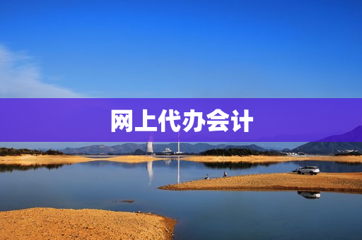 网上代办会计(代账会计在哪里找)