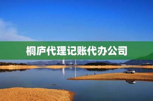 桐庐代理记账代办公司(义乌代理记账公司排名)