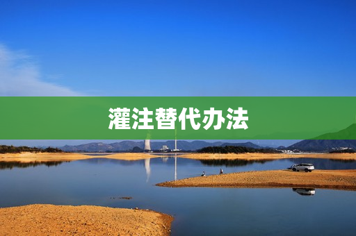 灌注替代办法(灌注疗法适用于)