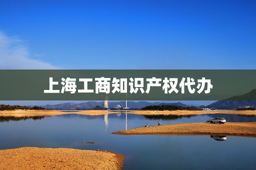 上海工商知识产权代办(上海个体工商户代办)