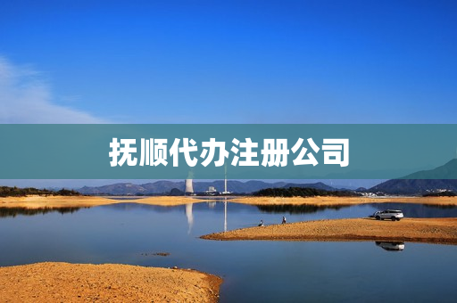 抚顺代办注册公司(注册公司流程)