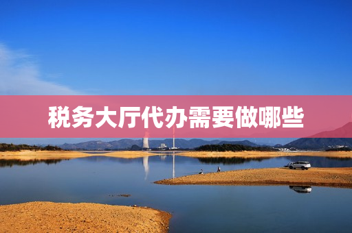 税务大厅代办需要做哪些(税务大厅缴税需要什么)