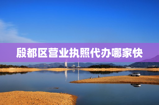 殷都区营业执照代办哪家快(个人营业执照办理)