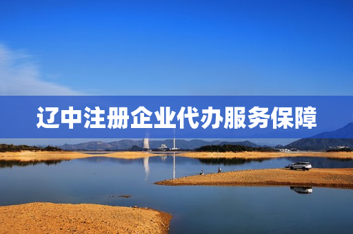 辽中注册企业代办服务保障(沈阳注册公司代办机构)