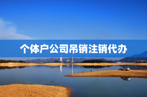 个体户公司吊销注销代办(个体户营业执照注销代办)