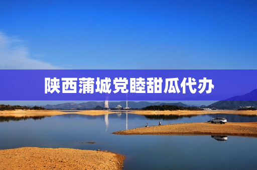 陕西蒲城党睦甜瓜代办(甜瓜交易大市场)