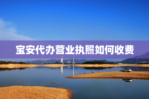 宝安代办营业执照如何收费(代办营业执照一般要多少钱)