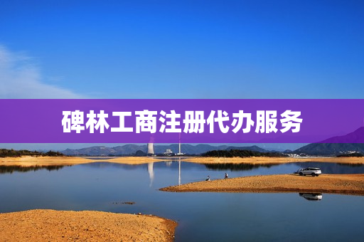 碑林工商注册代办服务(企业注册代办)