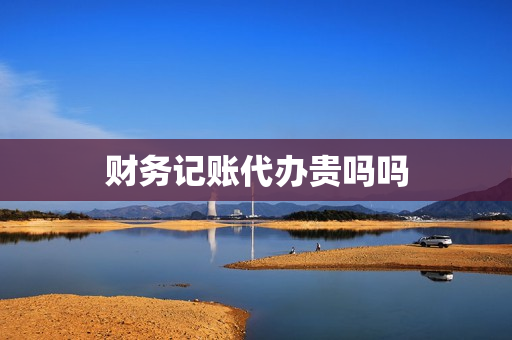 财务记账代办贵吗吗(财务代账)