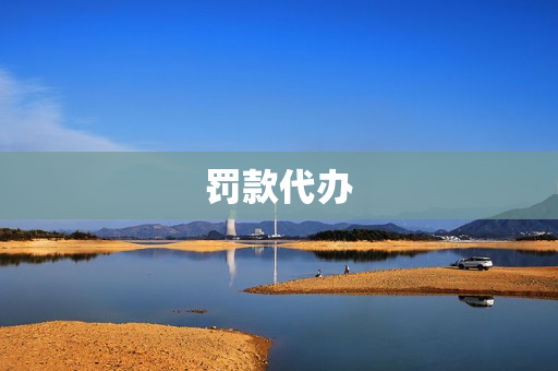 罚款代办(罚款委托书)