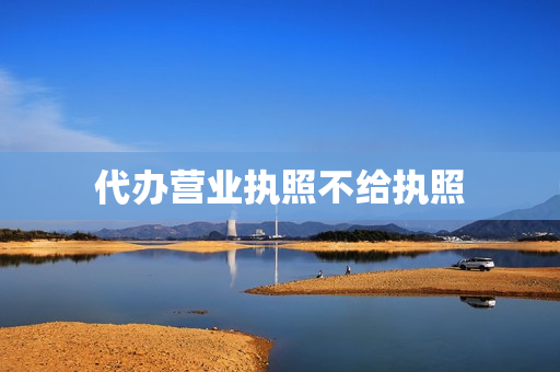 代办营业执照不给执照(广州代办个体营业执照)