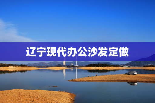辽宁现代办公沙发定做(办公沙发家具图片大全)