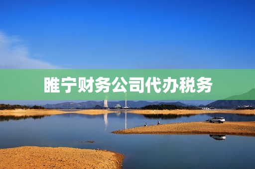 睢宁财务公司代办税务(办财务公司有什么要求)