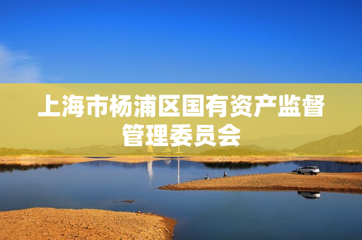 上海市杨浦区国有资产监督管理委员会