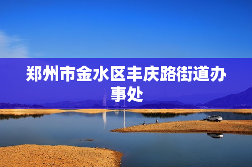 郑州市金水区丰庆路街道办事处(政务服务网)