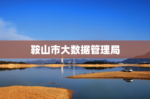 鞍山市大数据管理局(网上办事大厅)
