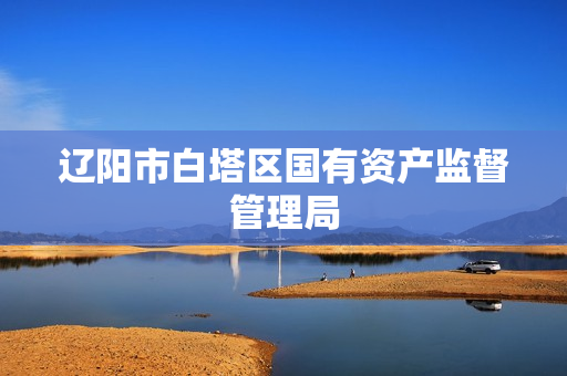 辽阳市白塔区国有资产监督管理局