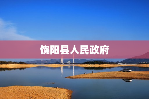 饶阳县人民政府(政务服务网)