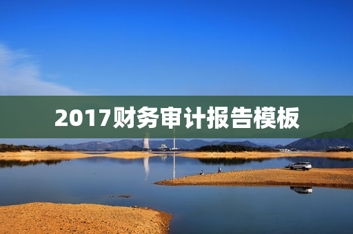 2017财务审计报告模板(范文下载)