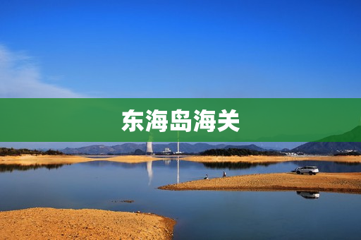 东海岛海关