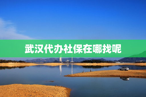 武汉代办社保在哪找呢(武汉个人社保在哪里办理)