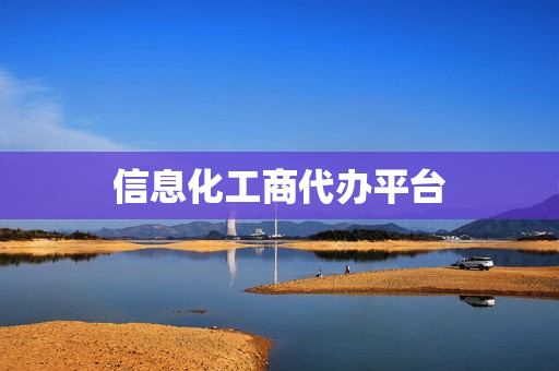 信息化工商代办平台(工商代办服务公司)