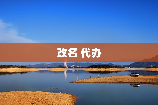 改名 代办(有改名字代办机构吗)