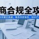 （15377期）电商合规全攻略，人事合同雷区规避，税务风控体系，知识产权防御