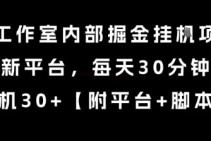 某工作室内部掘金挂G项目，新平台，每天30分钟，单机30+【揭秘】