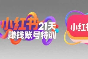 （15427期）小红书21天赚钱账号特训：黄金定位技巧，高转粉文案创作，科学引流策略