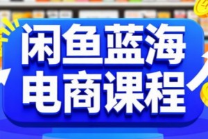 闲鱼蓝海电商课程