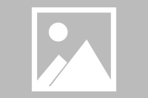 DiskGenius汉化中文版_无广告,给硬盘分区,调整C盘大小