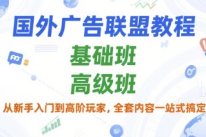 国外广告联盟教程，基础班和高级班，从新手入门到高阶玩家，全套内容一站式搞定