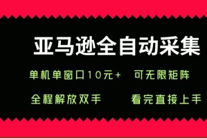 （15704期）亚马逊全自动采集，单机单窗口一天10+，可无限矩阵去做