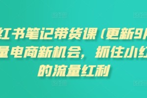 小红书笔记带货课(更新25年6月)流量电商新机会，抓住小红书的流量红利