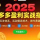（15357期）拼多多盈利实战指南，强付费玩法，活动爆流技术，微付费破局方案(更新7月)
