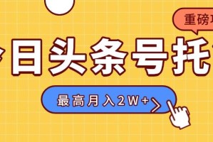 （15674期）【头条号托管 】我存作品到草稿箱，你每天5分钟发布，更高月入2W+