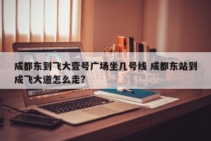 成都东到飞大壹号广场坐几号线 成都东站到成飞大道怎么走?