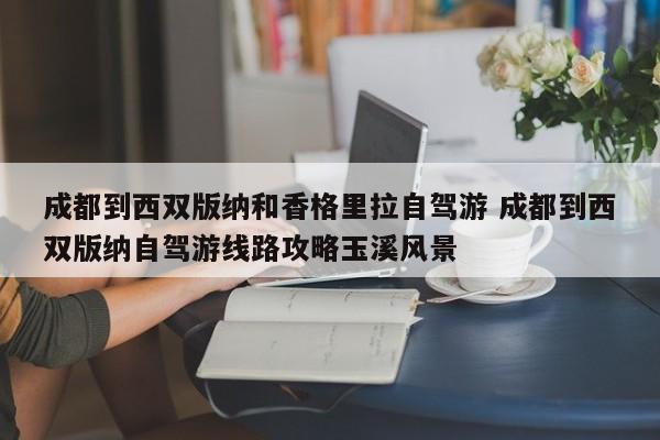 成都到西双版纳和香格里拉自驾游 成都到西双版纳自驾游线路攻略玉溪风景