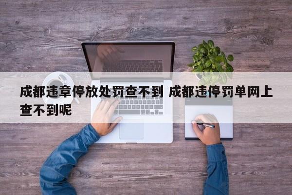 成都违章停放处罚查不到 成都违停罚单网上查不到呢