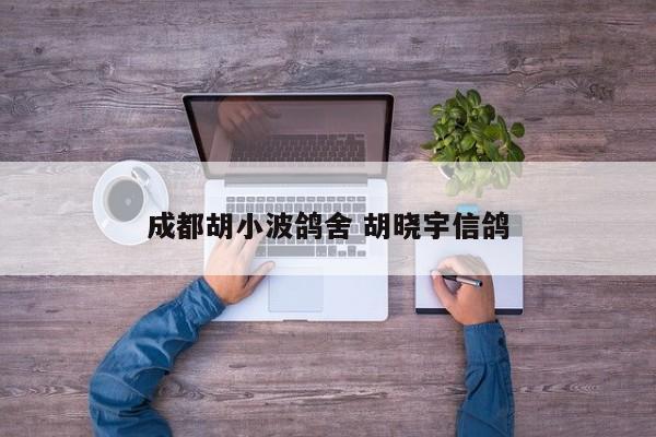 成都胡小波鸽舍 胡晓宇信鸽
